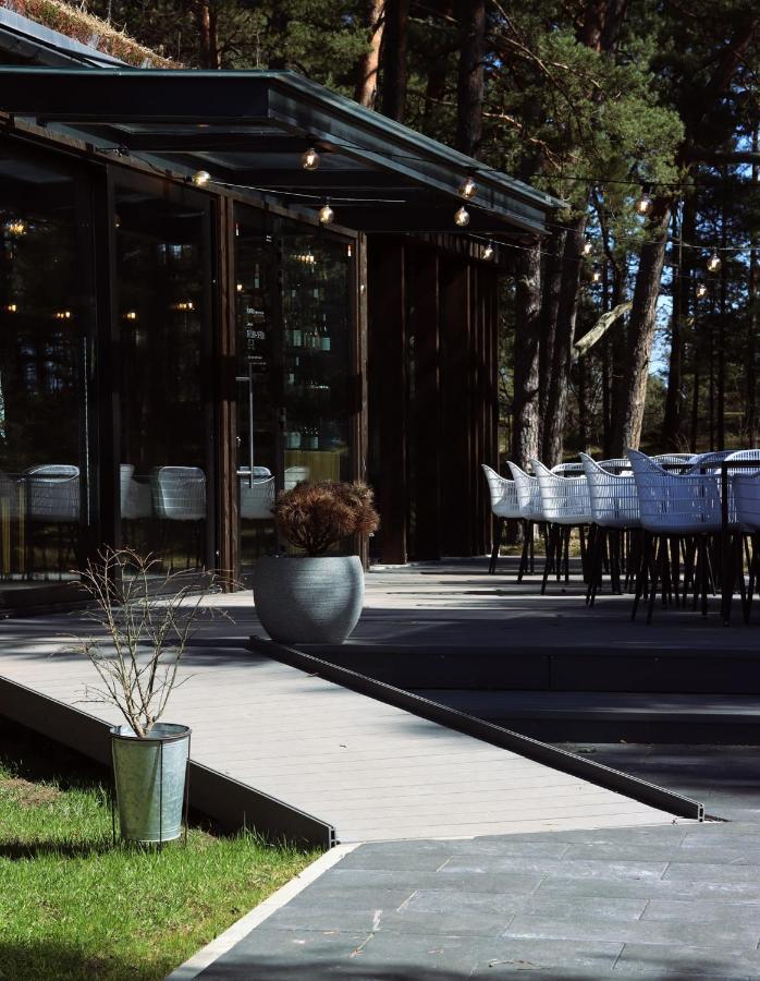 Albatross Getaway By The Sea, Spa And Forest With A Terrace Ķesterciems Exteriör bild