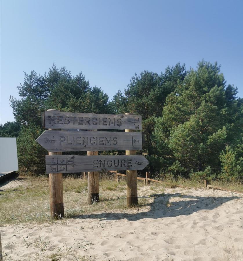 Albatross Getaway By The Sea, Spa And Forest With A Terrace Ķesterciems Exteriör bild